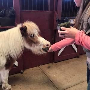 Meet your Posher, Chrissy